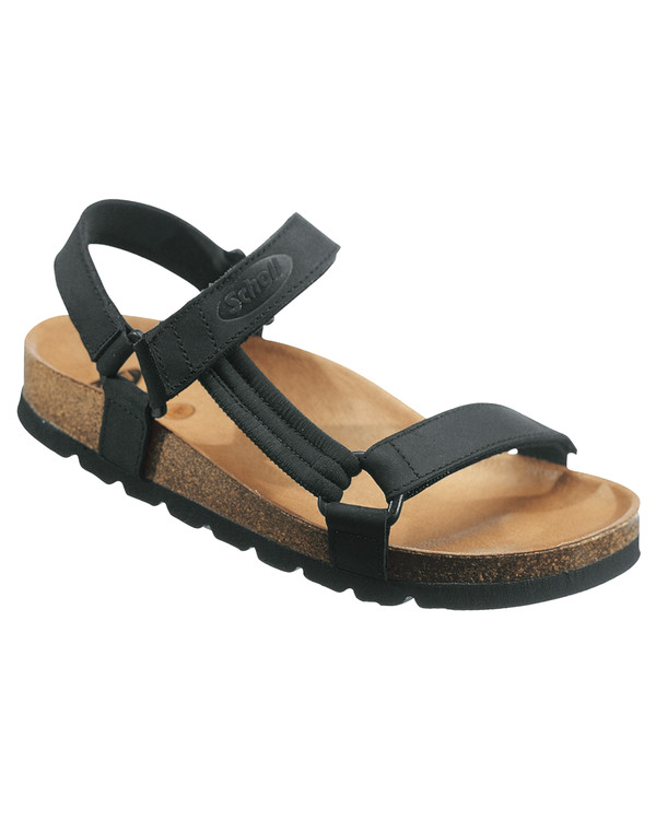 Scholl Heaven AD