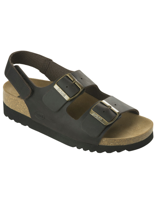 Scholl Giava WG AD