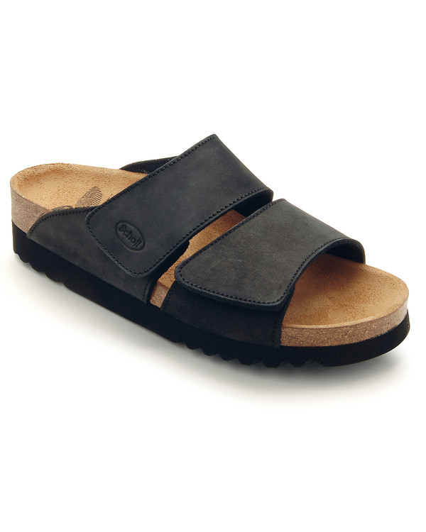Scholl Aalim toffel