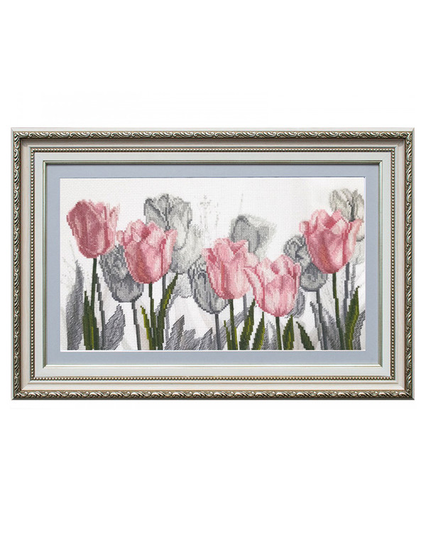 Bilde Tulipaner