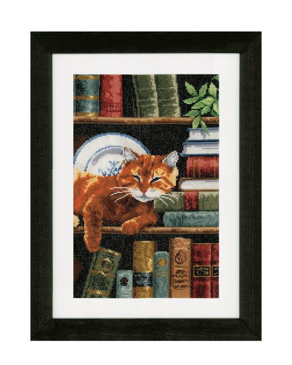 Bild Im Bücherregal