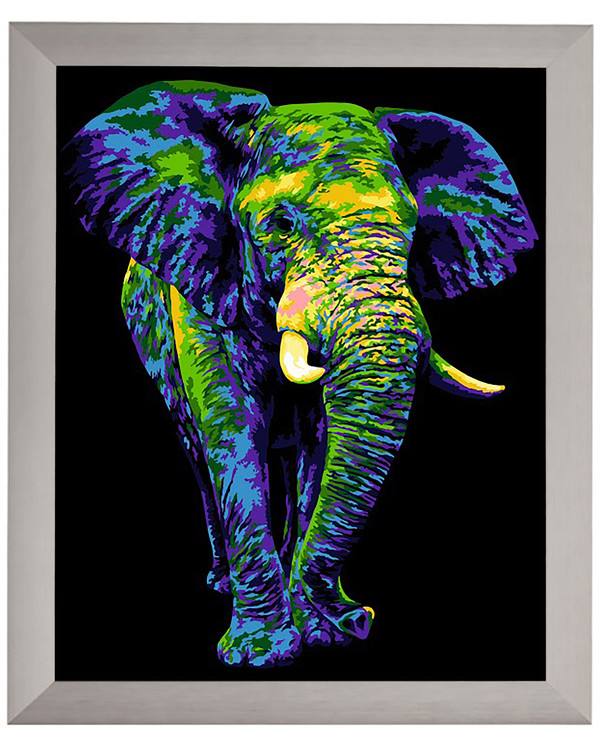 Paint By Numbers Elefant