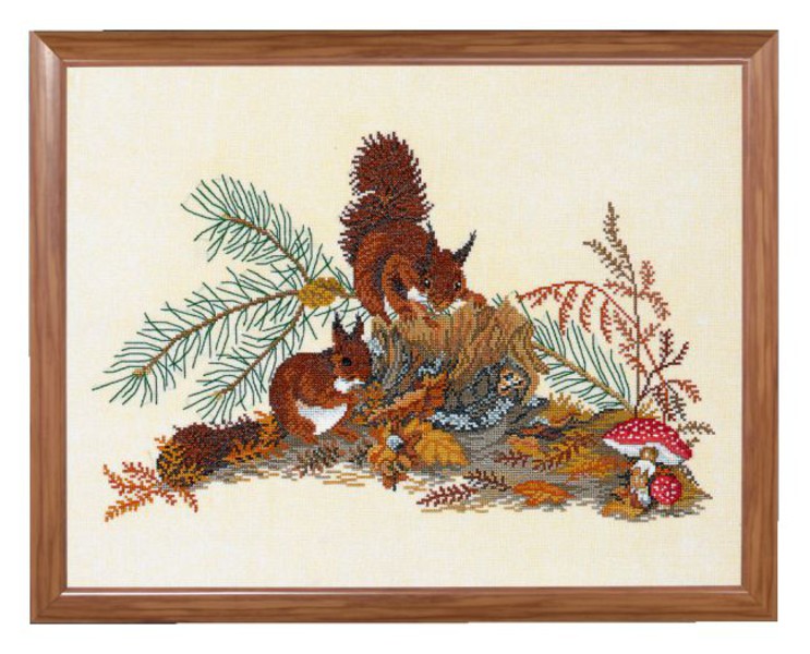 Bild Eichhörnchen