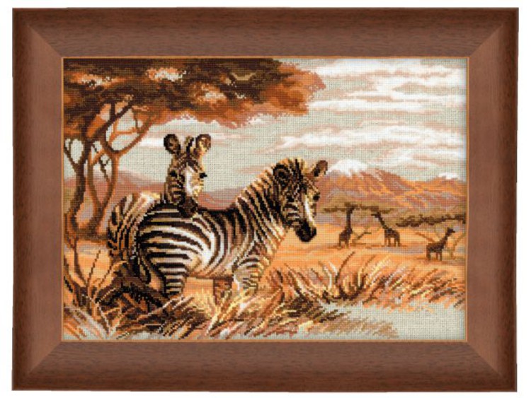 Bild Zebras in der Savanne