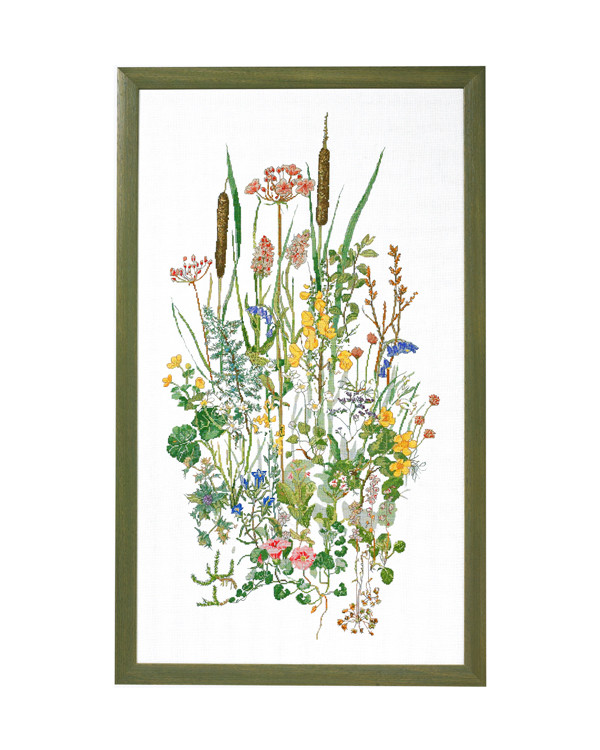 Billede Vandplanter
