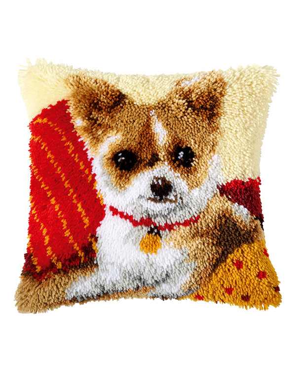 Ryepute Chihuahua