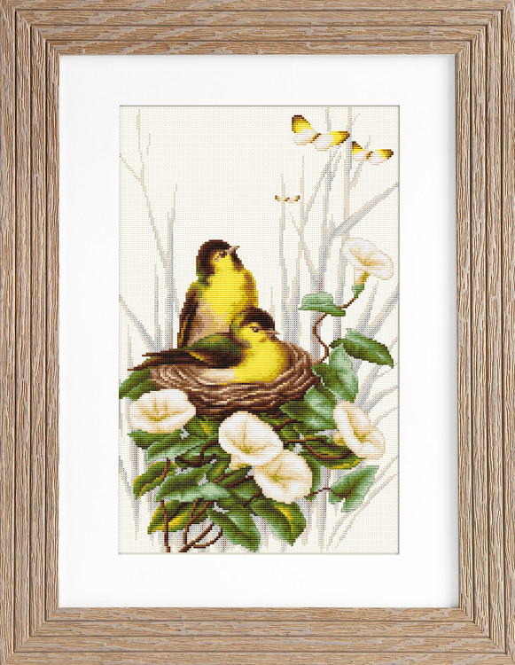 Bild Gemütlich im Nest