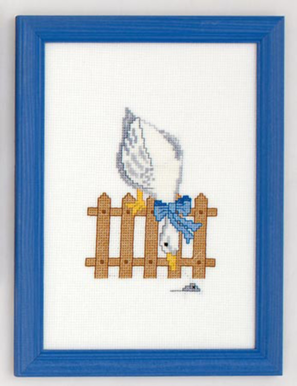 Bild neugierige Gans