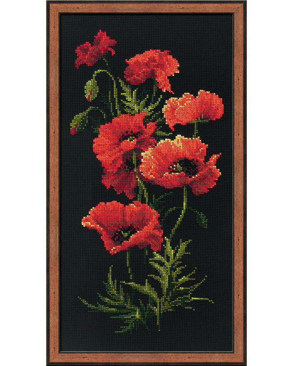 Bild Mohn
