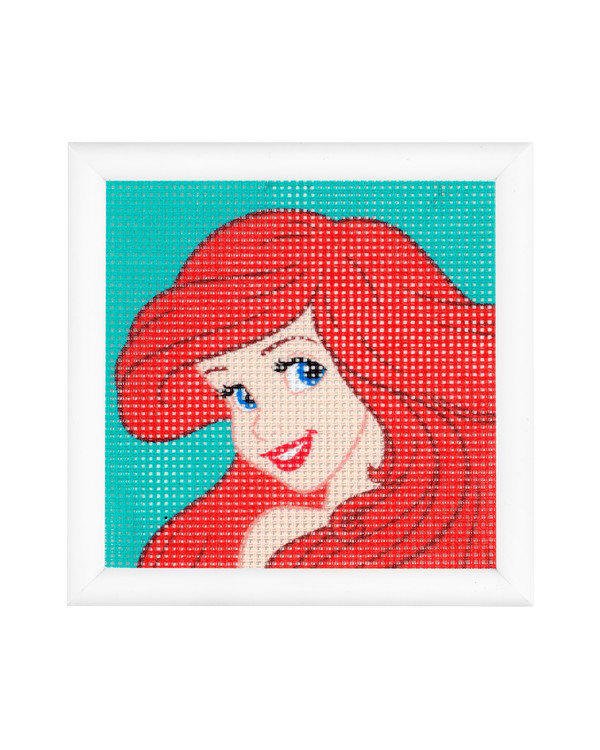 Strameibilde Ariel