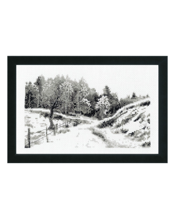 Bilde I skogen