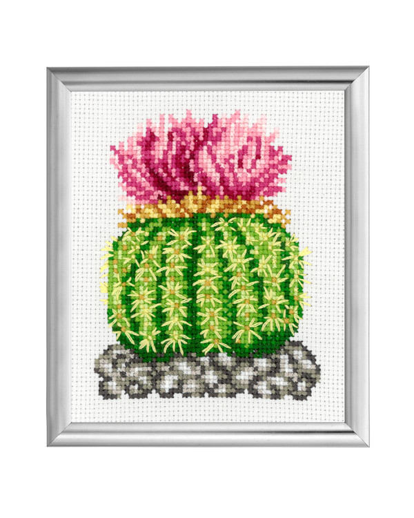 Broderikit Tavla Kaktus Rosa blommor