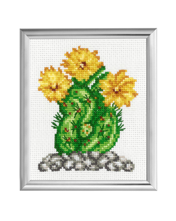 Bilde Kaktus Gule blomster