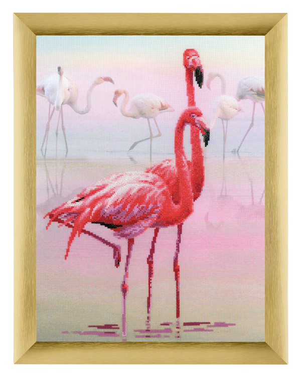 Bild Flamingos