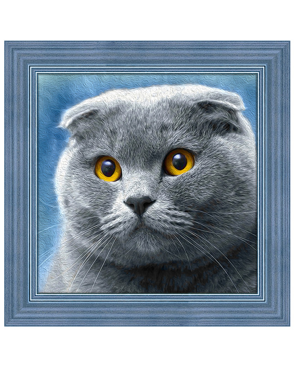 Diamond painting Grå katt