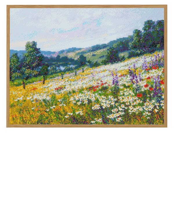 Bild Landschaft