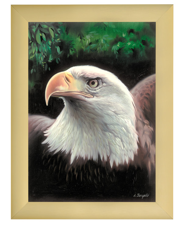 Kanavatyö Eagle