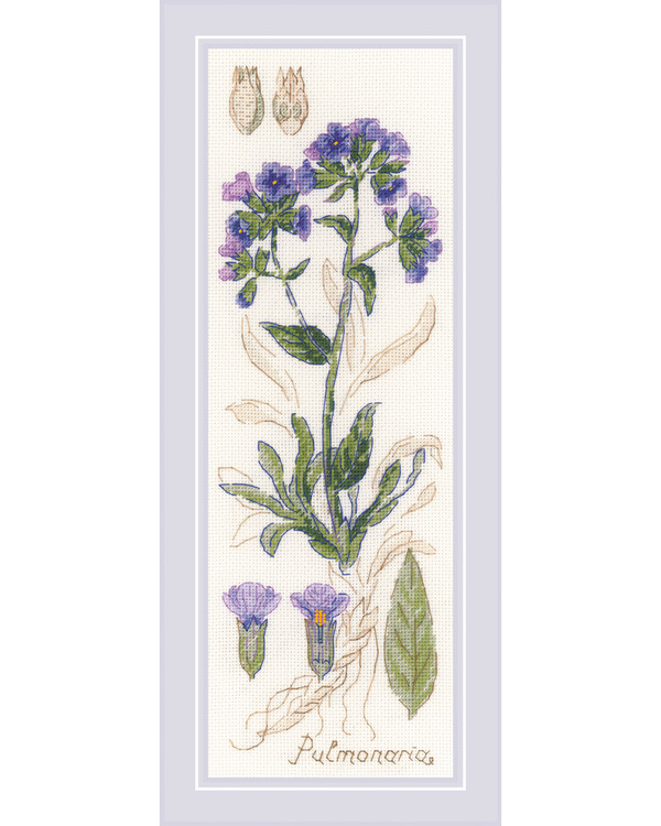 Taulu Pulmonaria