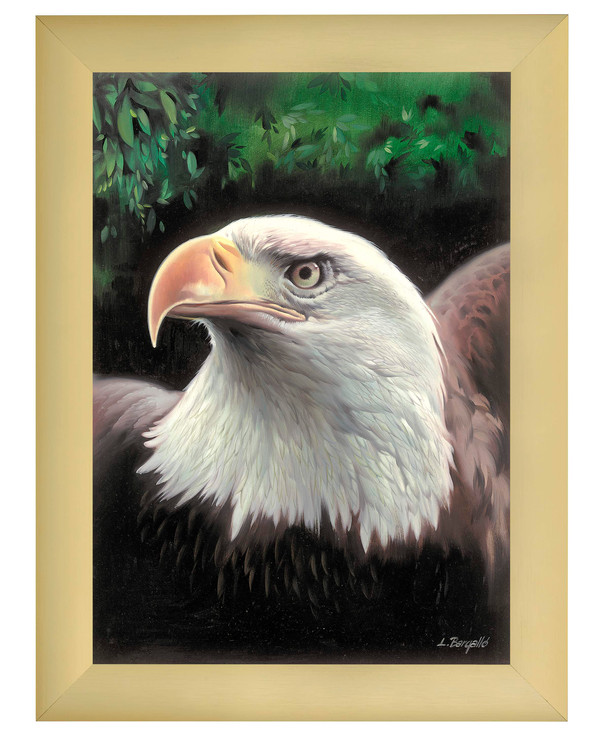 Stramei Eagle uten garn