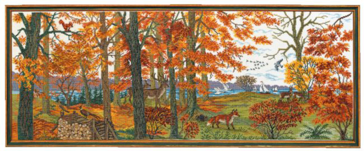 Bild Herbstwald