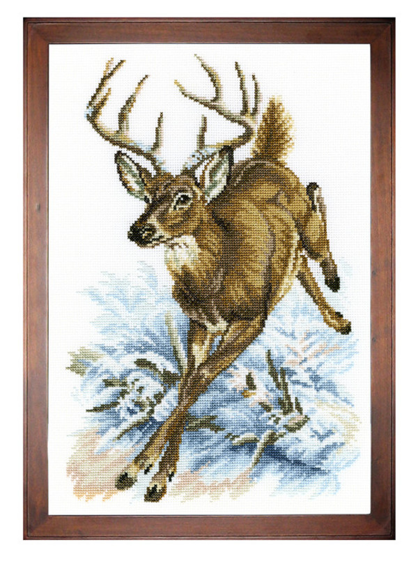 Bild Hirsch