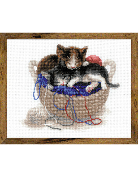 Bild Katzen mit Korb