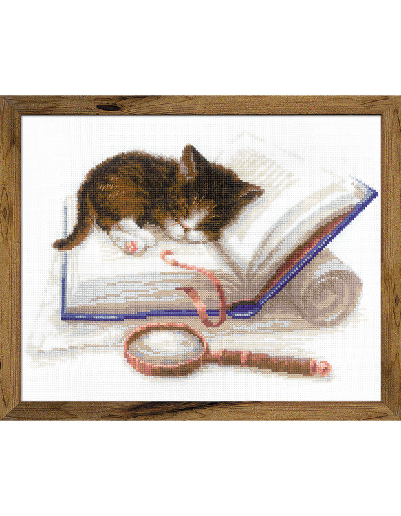 Bild Katze im Buch