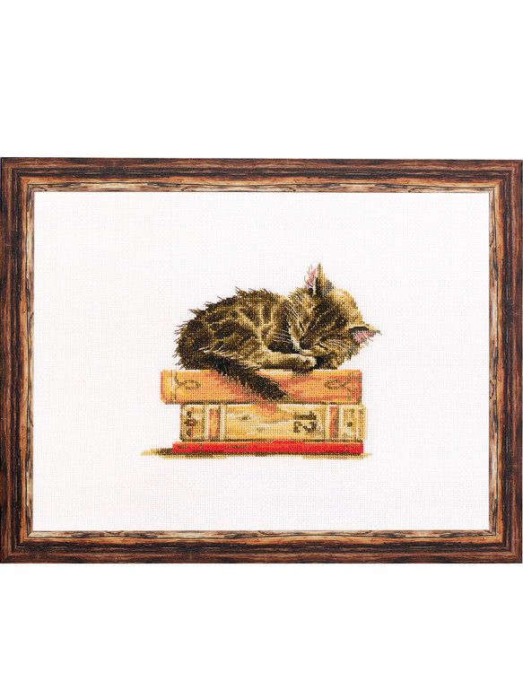 Bild Schlafende Katze