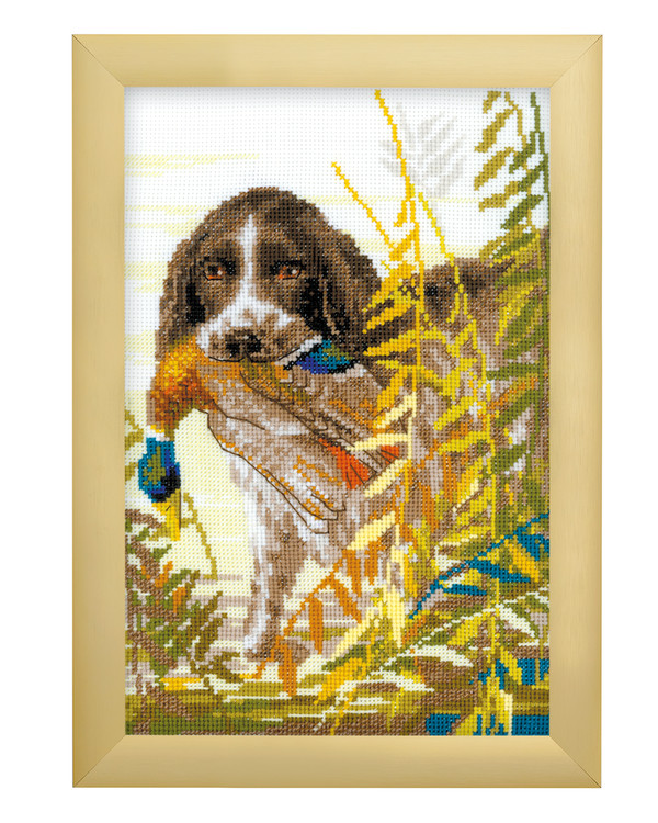 Bild Jagdhund