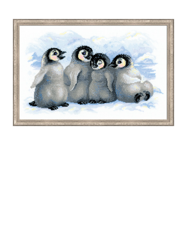 Bild Pinguine