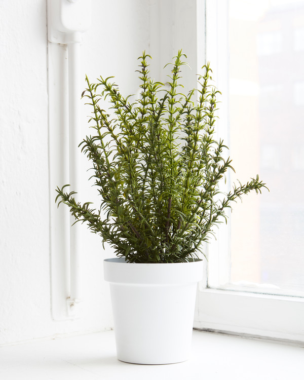 Kunstplante Rosmarin