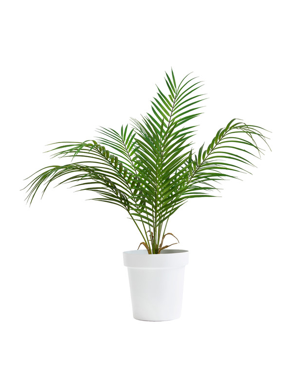 Kunstplante Bergpalme 55 cm