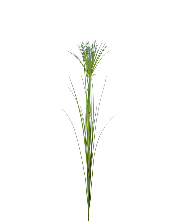 Kunstplnate Papyrus 135 cm