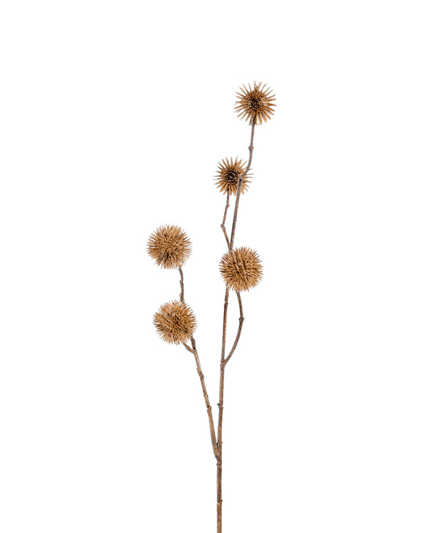 Kunstplante Platan