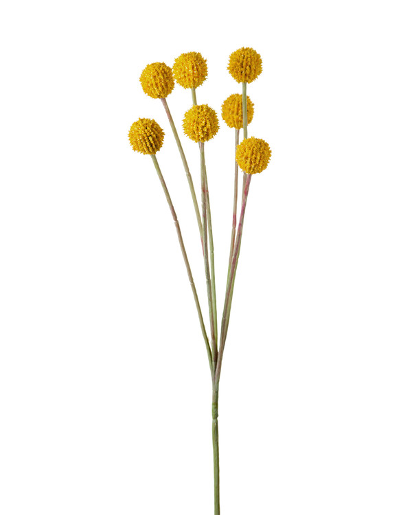 Kunstplante Craspedia