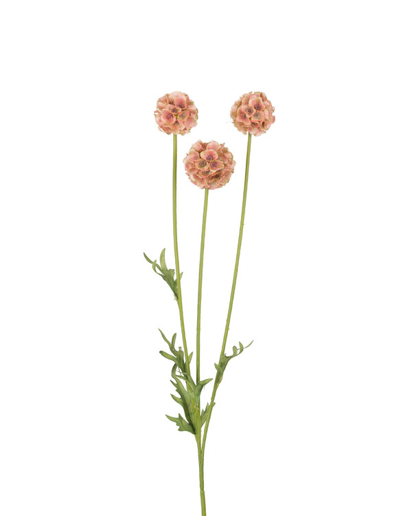 Kunstplante Scabiosa