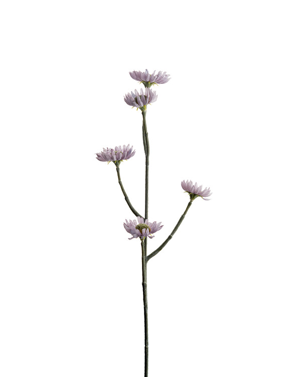 Kunstplante Evighetsblomst