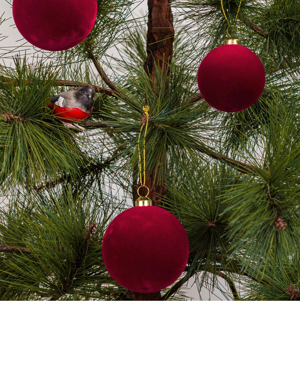 Juletrekuler Fløyel 8-pk
