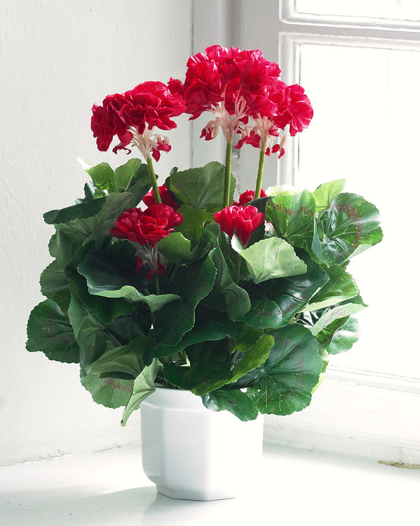 Kunstplante Pelargonia