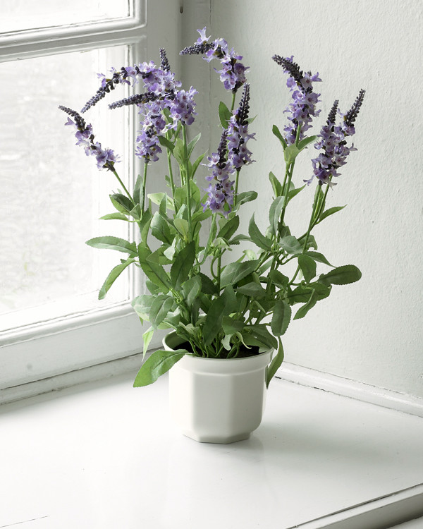 Kunstig plante Veronica