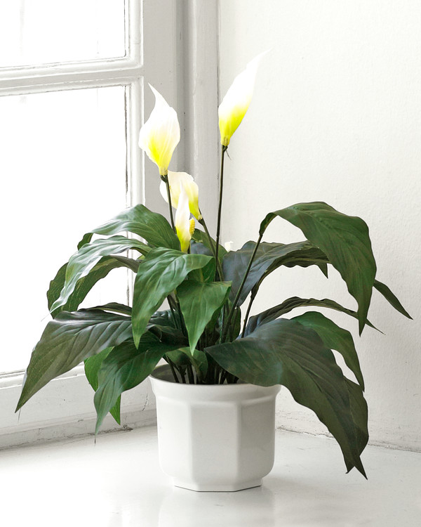 Kunstplante Fredslilje