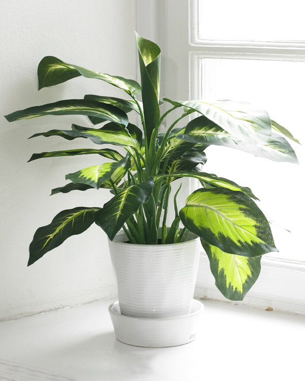 Kunstplante Prikkblad