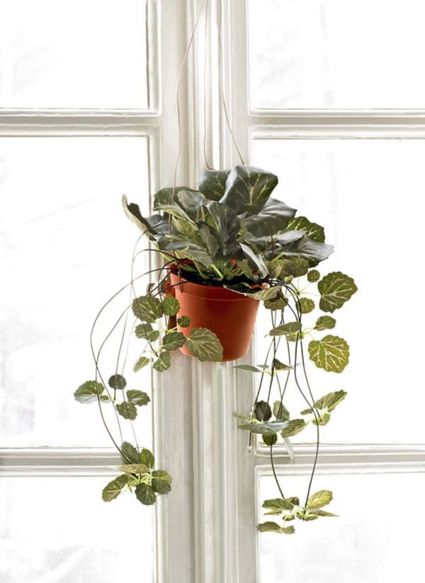 Konstväxt Saxifraga 35cm