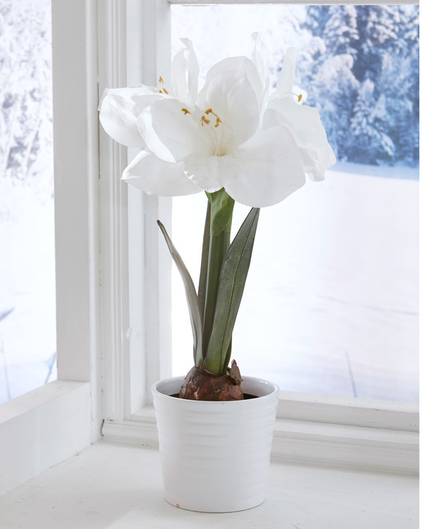 Kunstplante Amaryllis 45cm