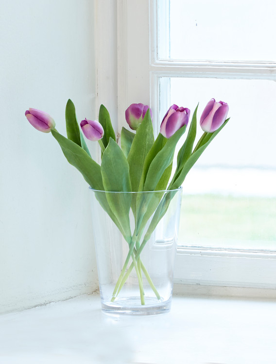 Tulipaner kunstige 5-pak