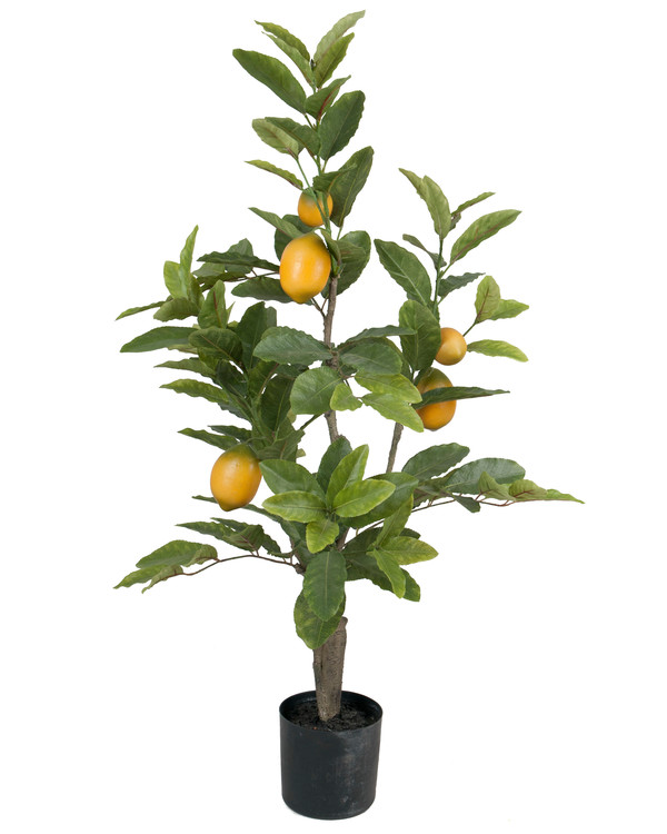 Konstväxt Citron 90 cm