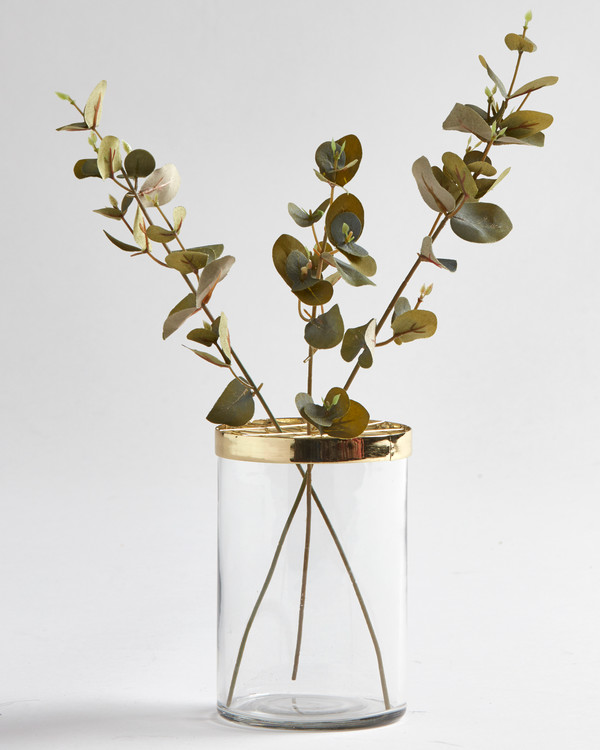 Konstväxt Eucalyptus 3-pack