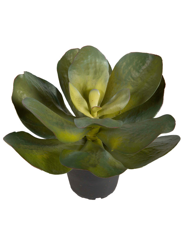 Tekokasvi Mehikasvi 22 cm