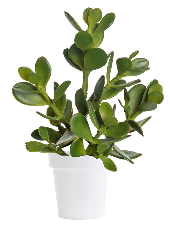 Kunstplante Crassula 23 cm