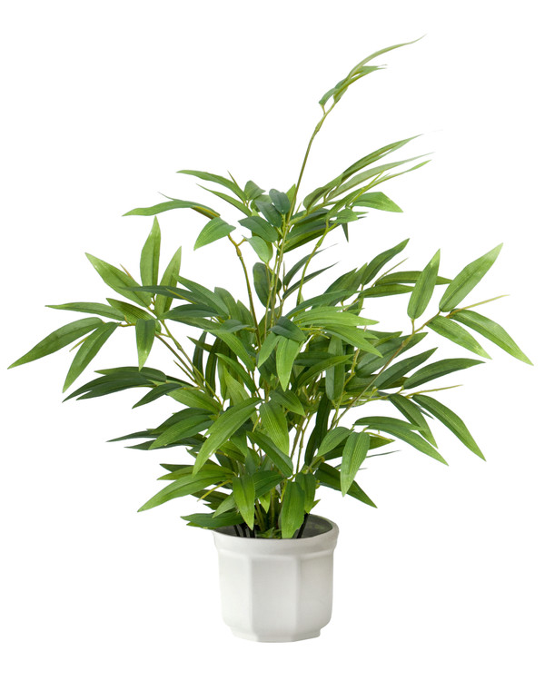 Konstväxt Bambu 45 cm